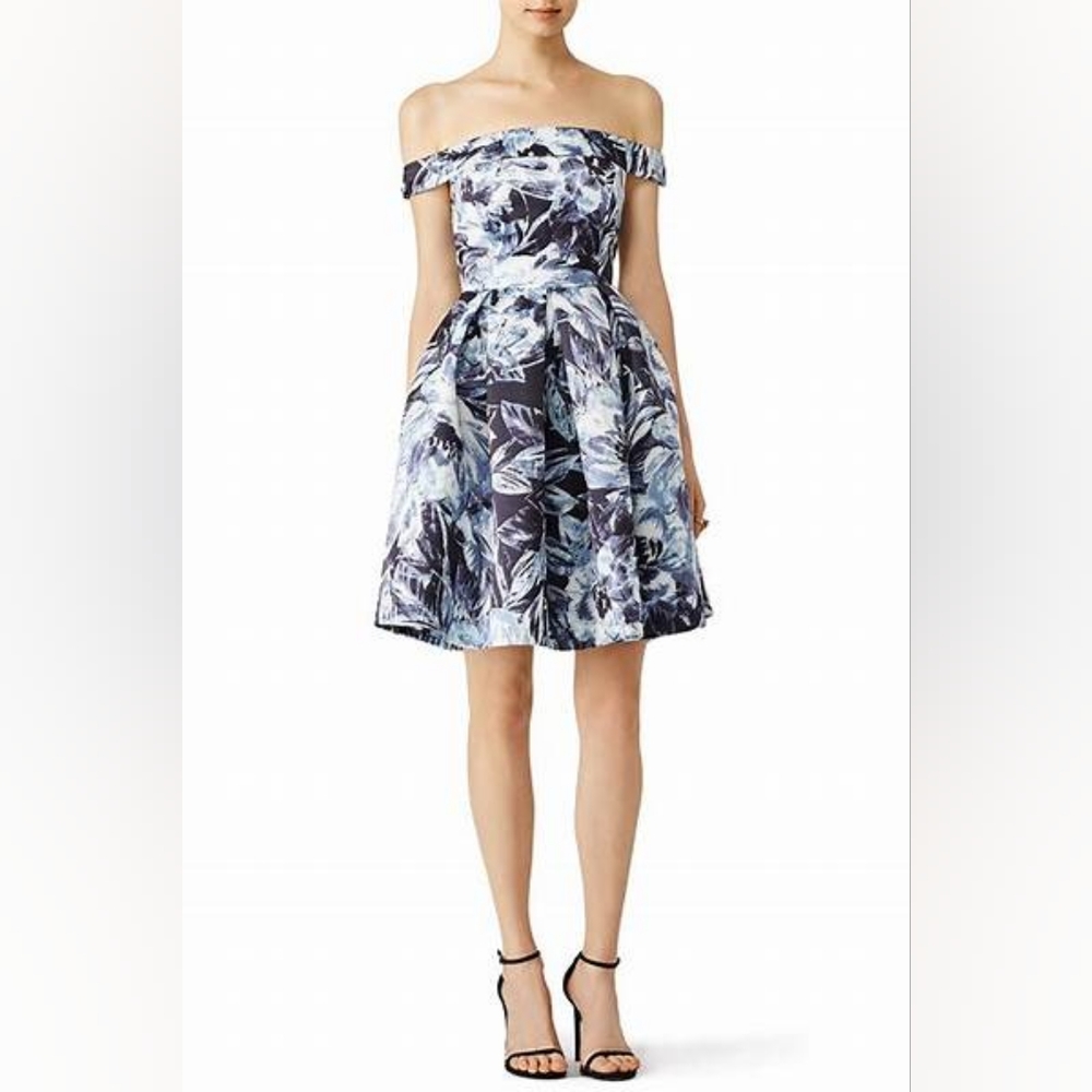 NWT, Parker Black Label Sandy Hellebore Floral Dress